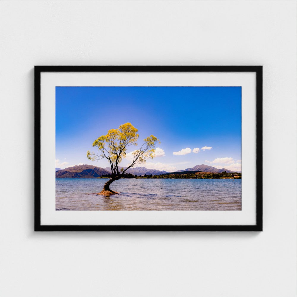 Fine Art Print – Enhanced Matte - The Lone Wanaka Tree (Wide)