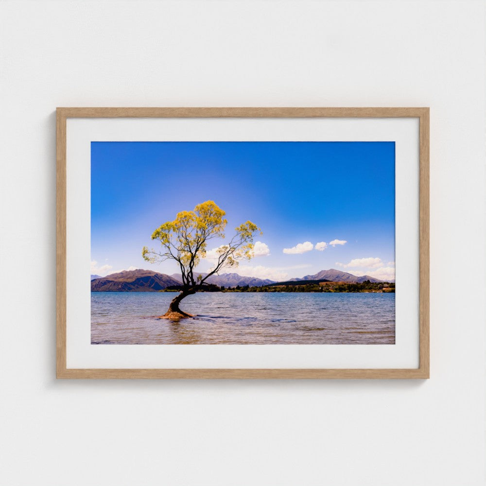 Fine Art Print – Enhanced Matte - The Lone Wanaka Tree (Wide)
