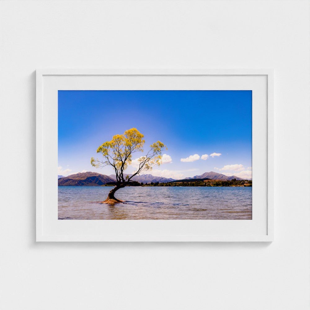 Fine Art Print – Enhanced Matte - The Lone Wanaka Tree (Wide)
