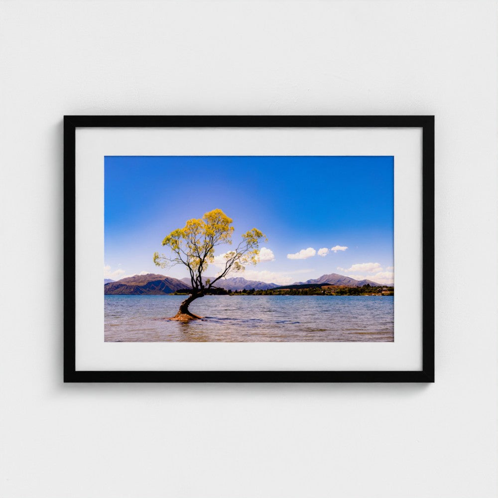 Fine Art Print – Enhanced Matte - The Lone Wanaka Tree (Wide)