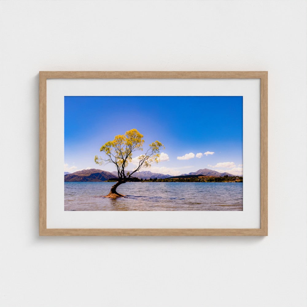 Fine Art Print – Enhanced Matte - The Lone Wanaka Tree (Wide)