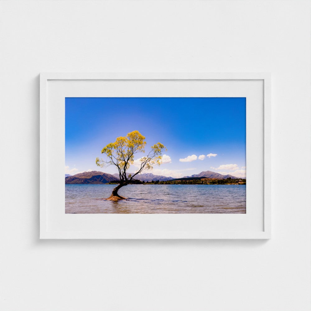 Fine Art Print – Enhanced Matte - The Lone Wanaka Tree (Wide)