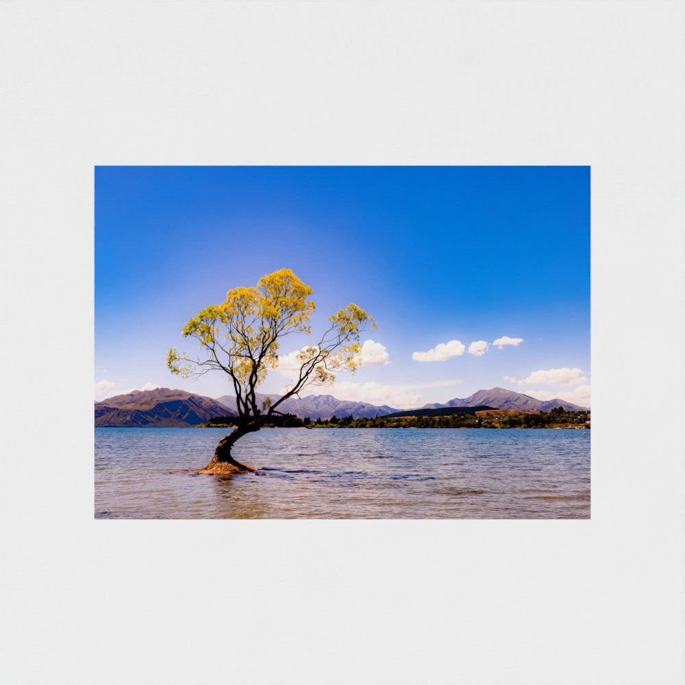 Fine Art Print – Enhanced Matte - The Lone Wanaka Tree (Wide)