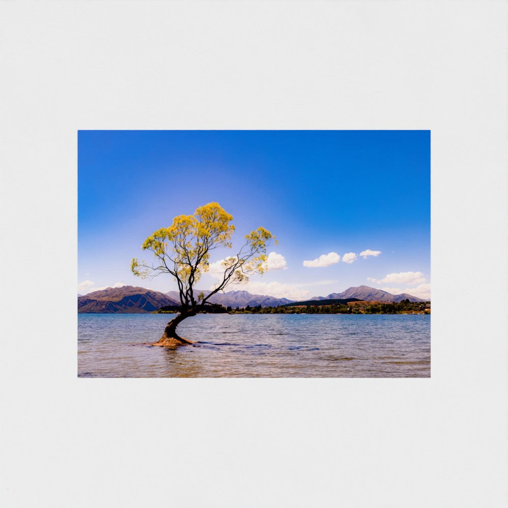 Fine Art Print – Enhanced Matte - The Lone Wanaka Tree (Wide)