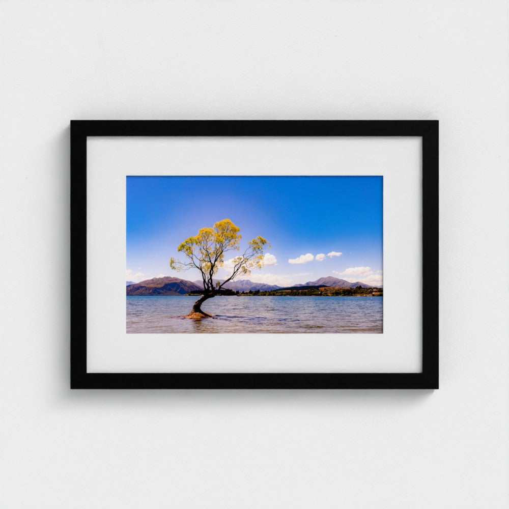Fine Art Print – Enhanced Matte - The Lone Wanaka Tree (Wide)