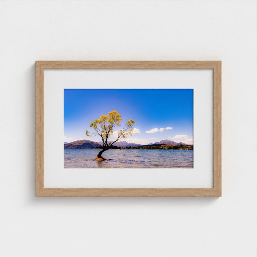 Fine Art Print – Enhanced Matte - The Lone Wanaka Tree (Wide)