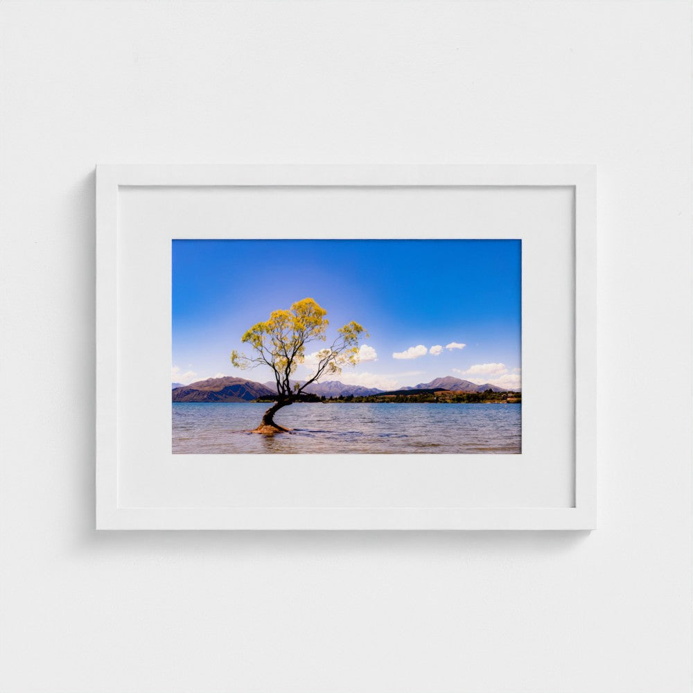 Fine Art Print – Enhanced Matte - The Lone Wanaka Tree (Wide)
