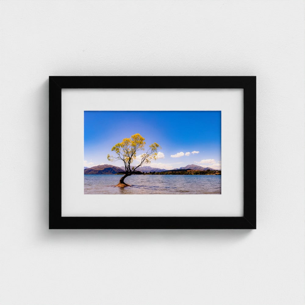 Fine Art Print – Enhanced Matte - The Lone Wanaka Tree (Wide)