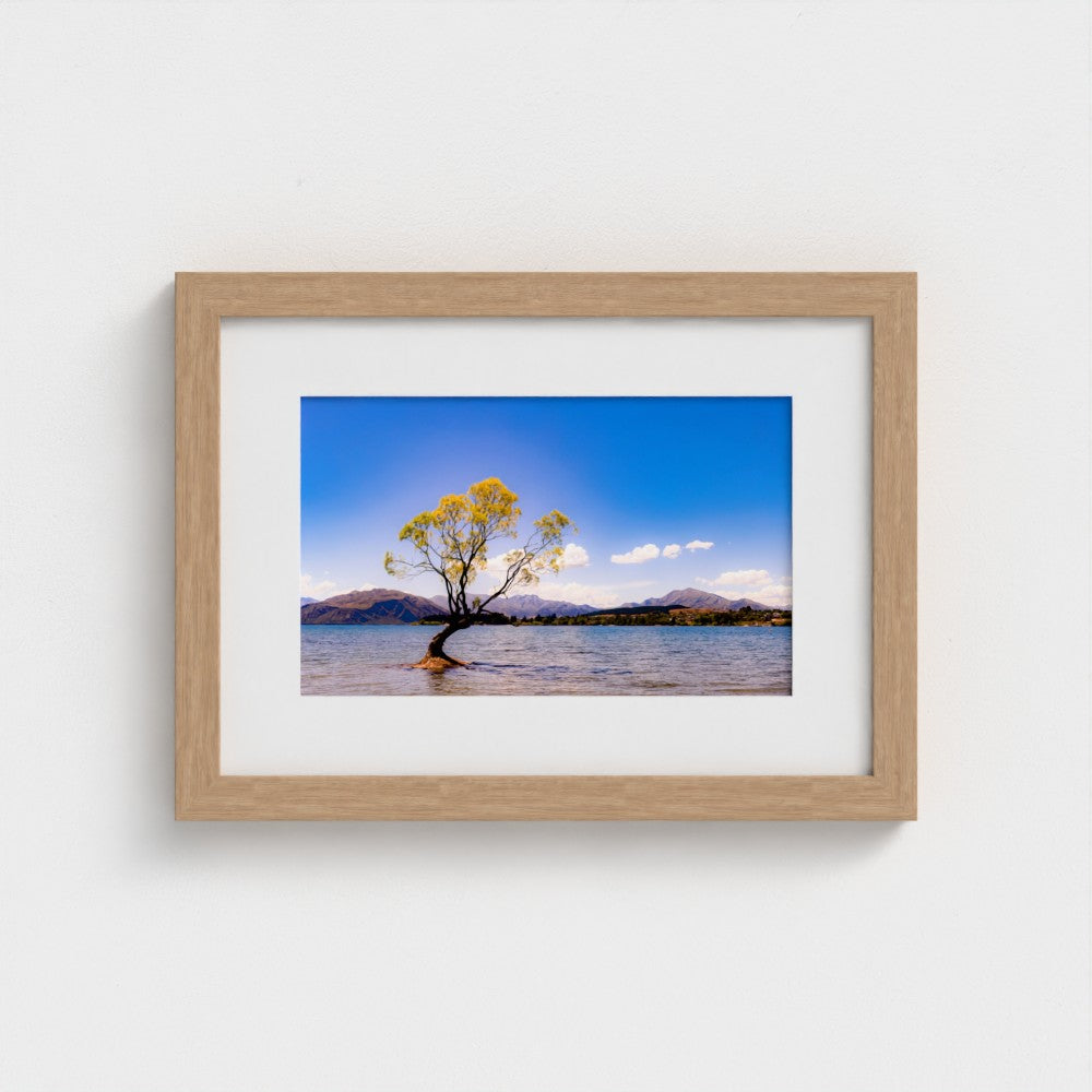 Fine Art Print – Enhanced Matte - The Lone Wanaka Tree (Wide)