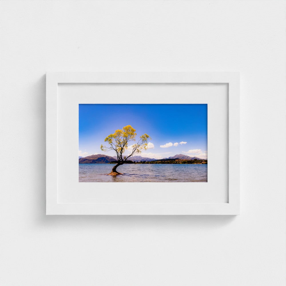 Fine Art Print – Enhanced Matte - The Lone Wanaka Tree (Wide)