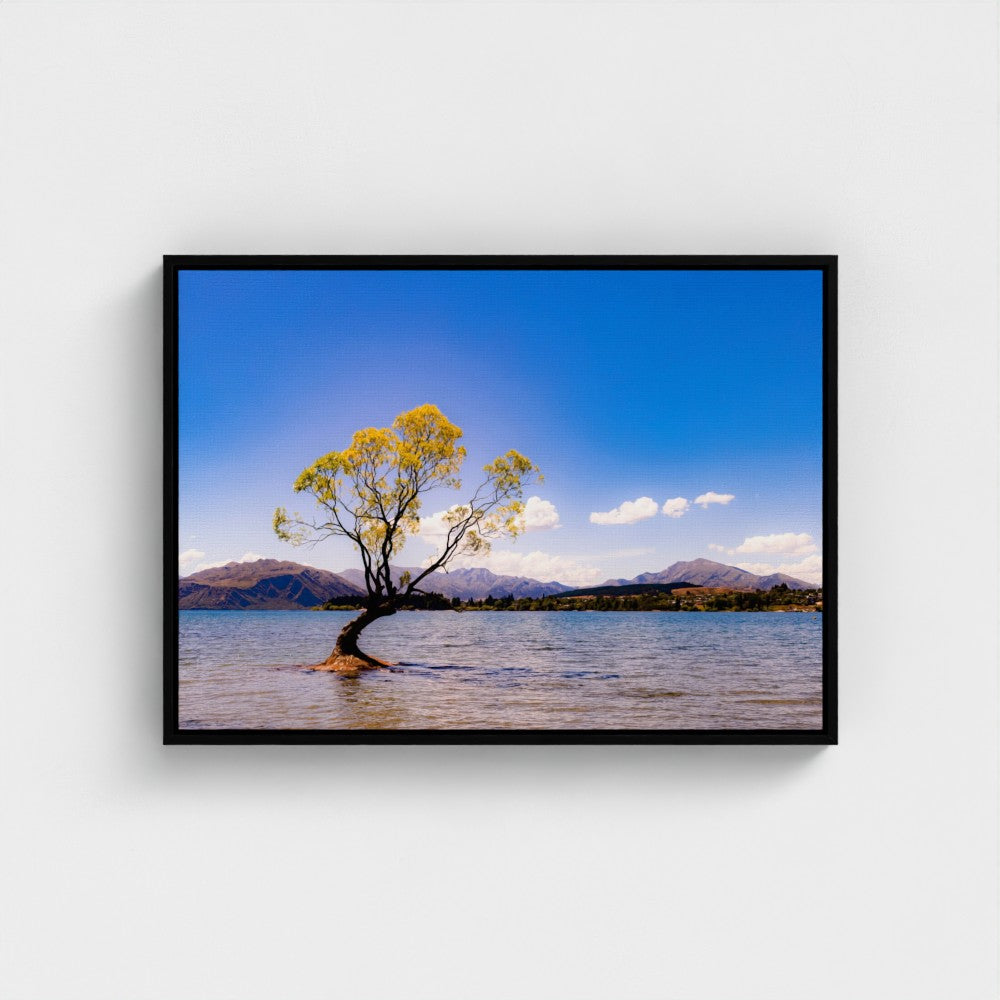 Floating Framed Canvas - The Lone Wanaka Tree (Wide)