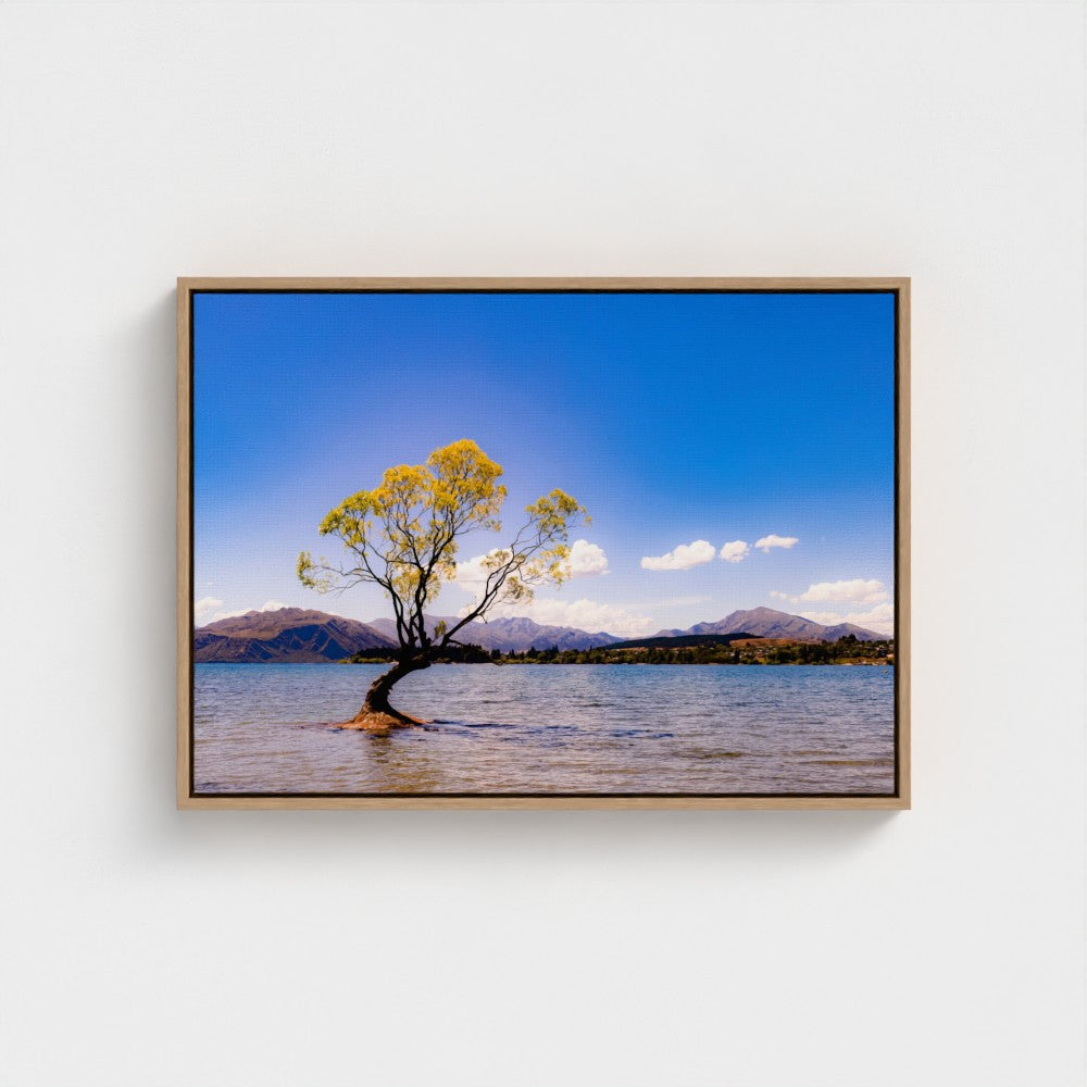 Floating Framed Canvas - The Lone Wanaka Tree (Wide)