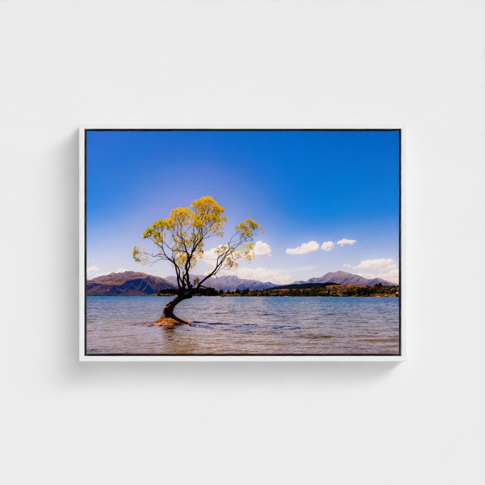 Floating Framed Canvas - The Lone Wanaka Tree (Wide)