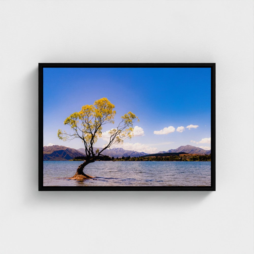 Floating Framed Canvas - The Lone Wanaka Tree (Wide)