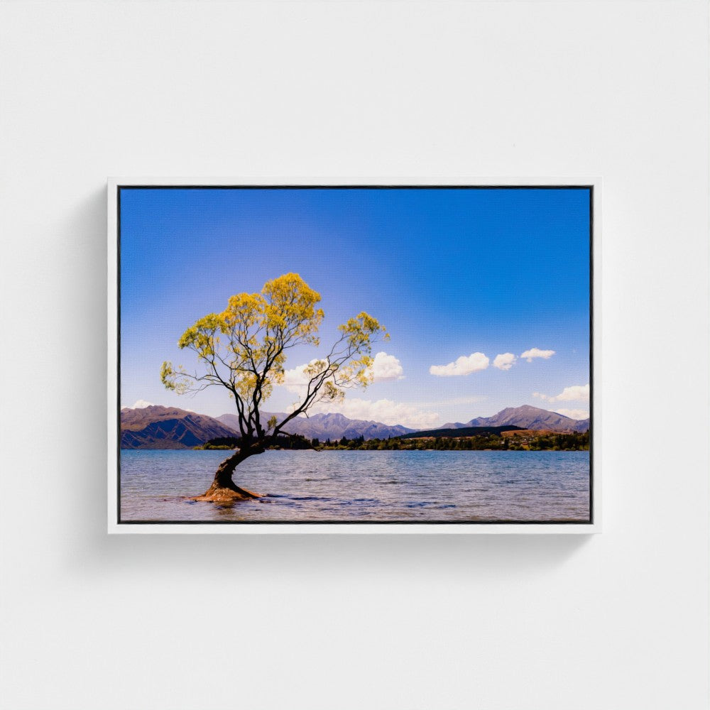 Floating Framed Canvas - The Lone Wanaka Tree (Wide)