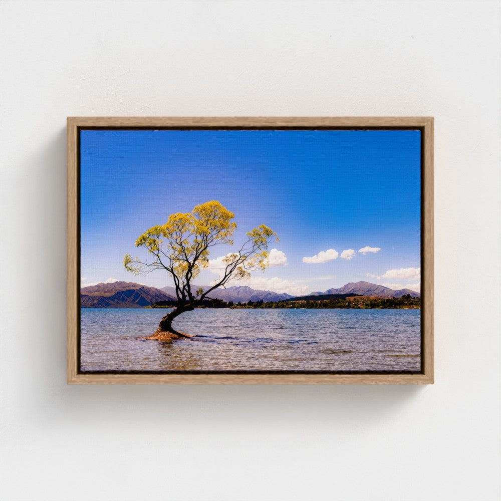 Floating Framed Canvas - The Lone Wanaka Tree (Wide)