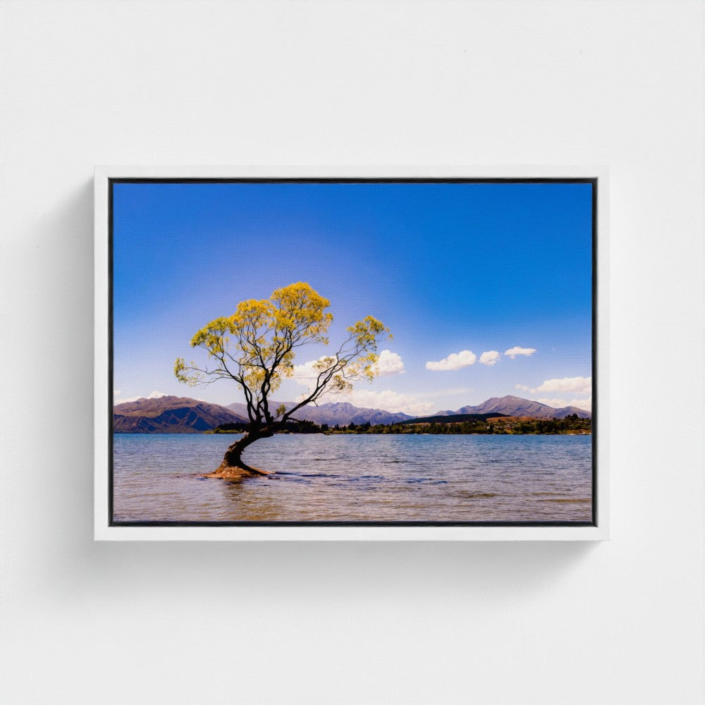 Floating Framed Canvas - The Lone Wanaka Tree (Wide)