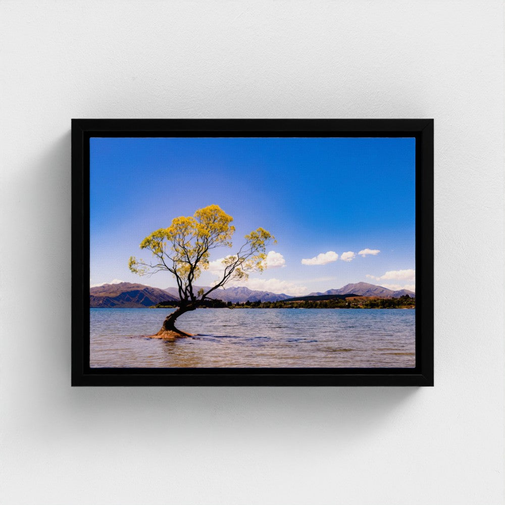 Floating Framed Canvas - The Lone Wanaka Tree (Wide)