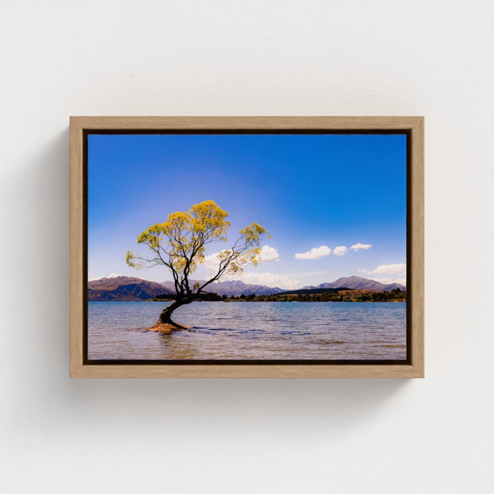 Floating Framed Canvas - The Lone Wanaka Tree (Wide)