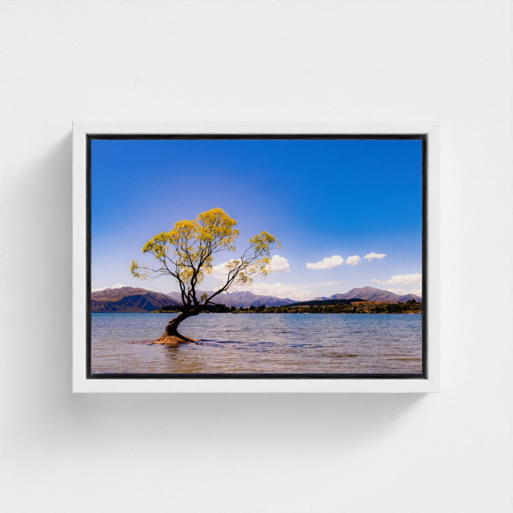 Floating Framed Canvas - The Lone Wanaka Tree (Wide)
