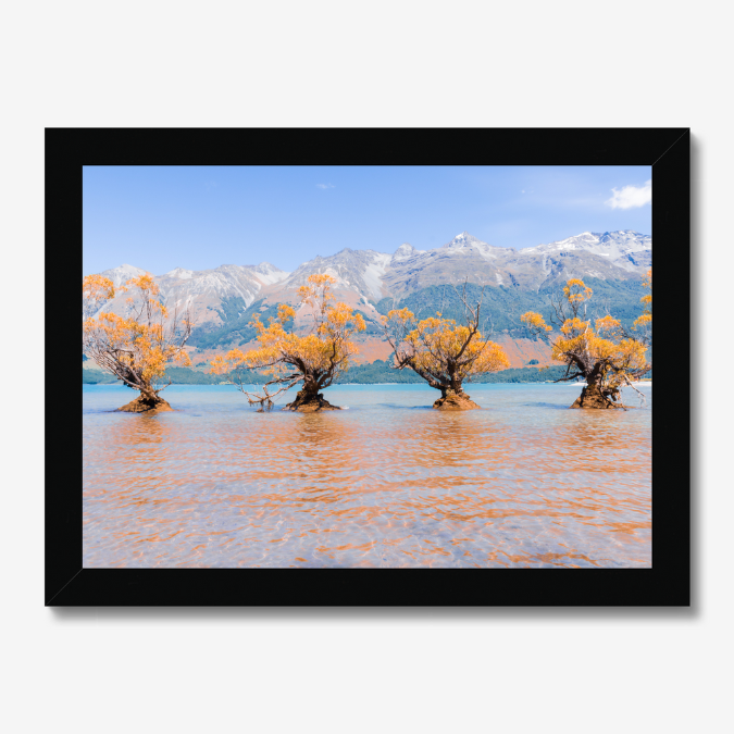 Floating Framed Canvas - Willow Trees in Blue Lake