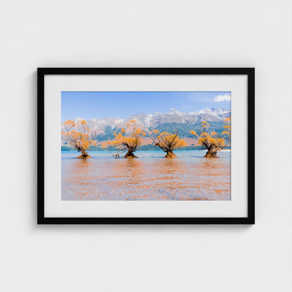 Fine Art Print – Enhanced Matte - Willow Trees in Blue Lake