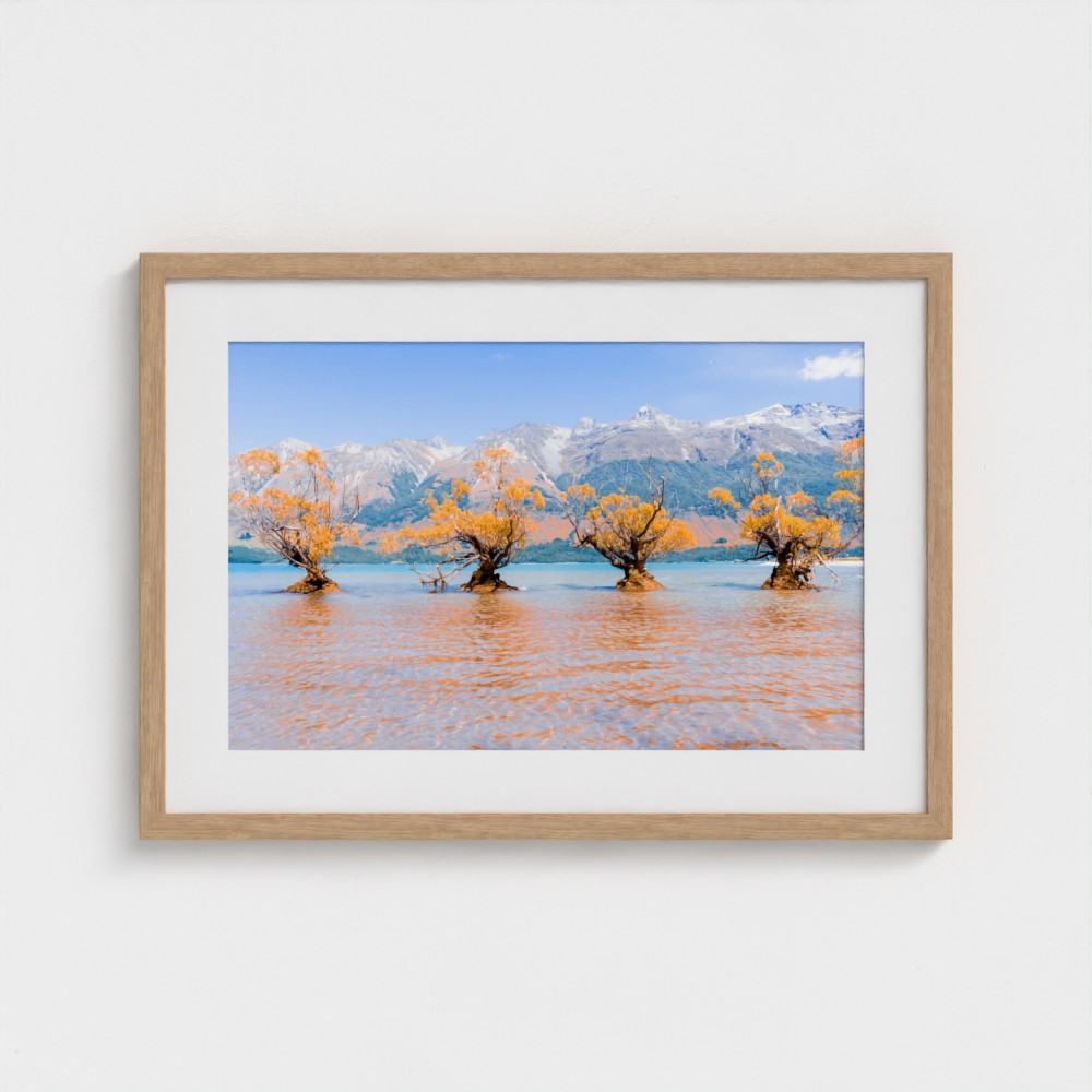 Fine Art Print – Enhanced Matte - Willow Trees in Blue Lake