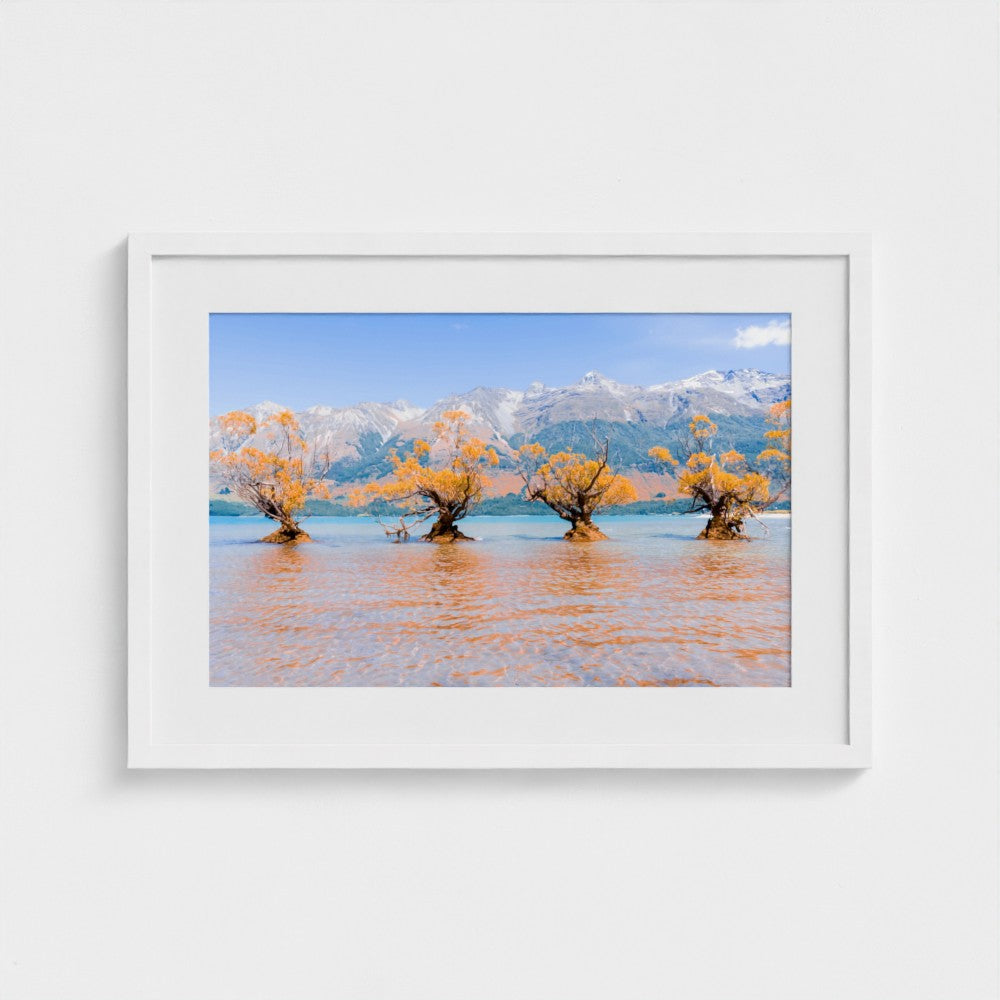 Fine Art Print – Enhanced Matte - Willow Trees in Blue Lake