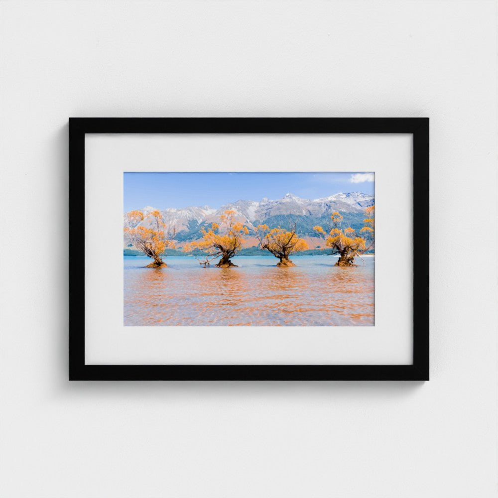 Fine Art Print – Enhanced Matte - Willow Trees in Blue Lake