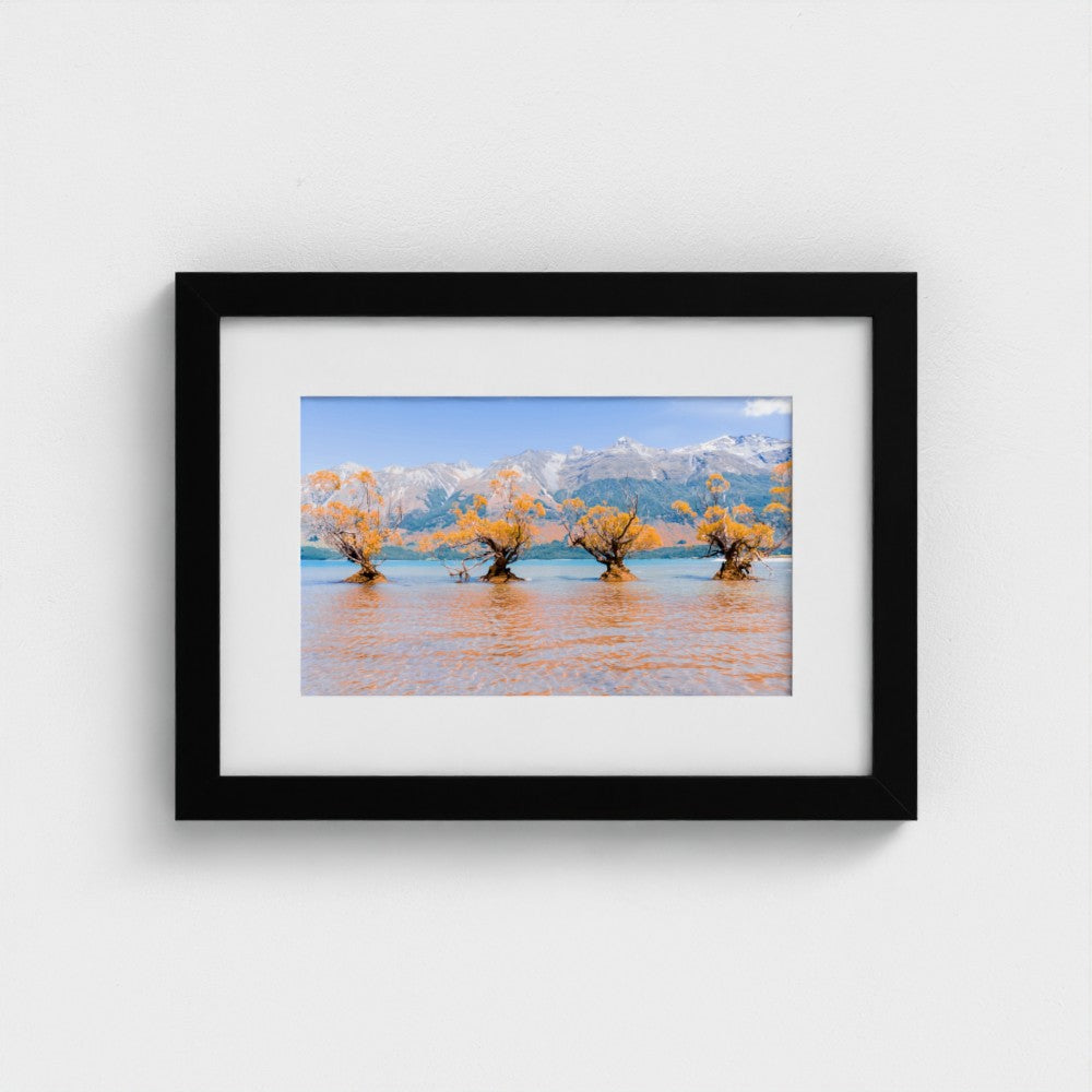 Fine Art Print – Enhanced Matte - Willow Trees in Blue Lake