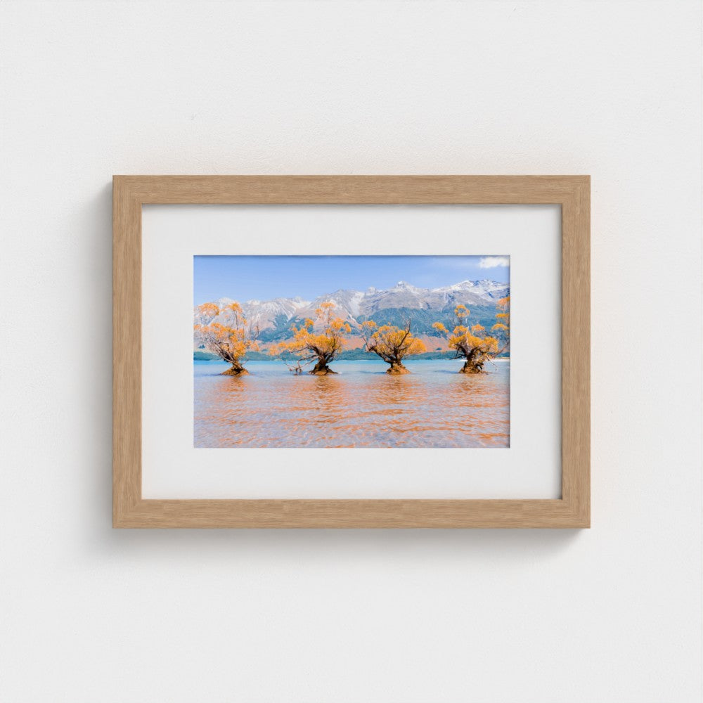 Fine Art Print – Enhanced Matte - Willow Trees in Blue Lake
