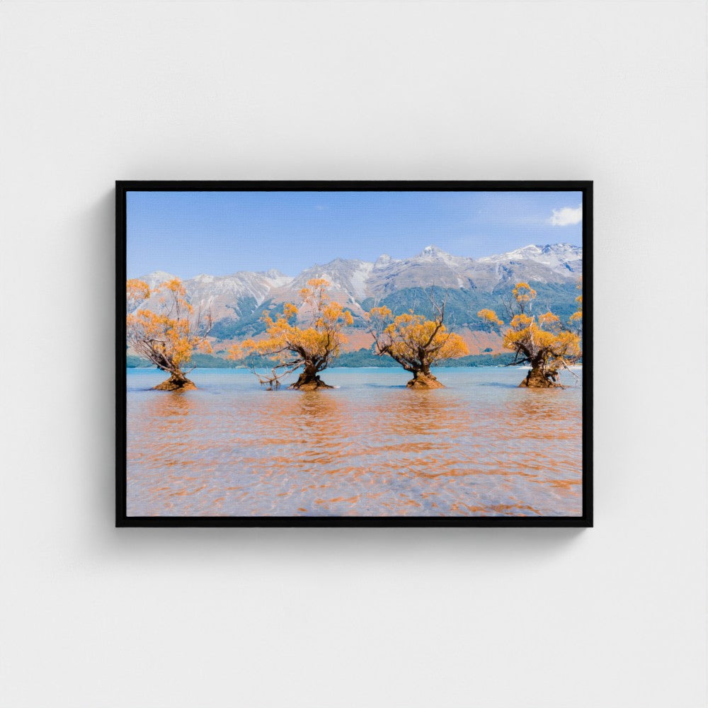 Floating Framed Canvas - Willow Trees in Blue Lake
