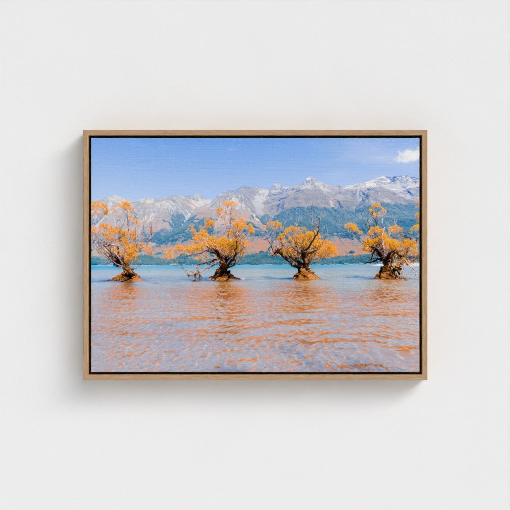 Floating Framed Canvas - Willow Trees in Blue Lake
