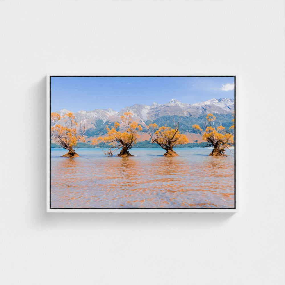 Floating Framed Canvas - Willow Trees in Blue Lake