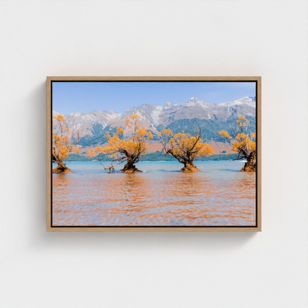 Floating Framed Canvas - Willow Trees in Blue Lake