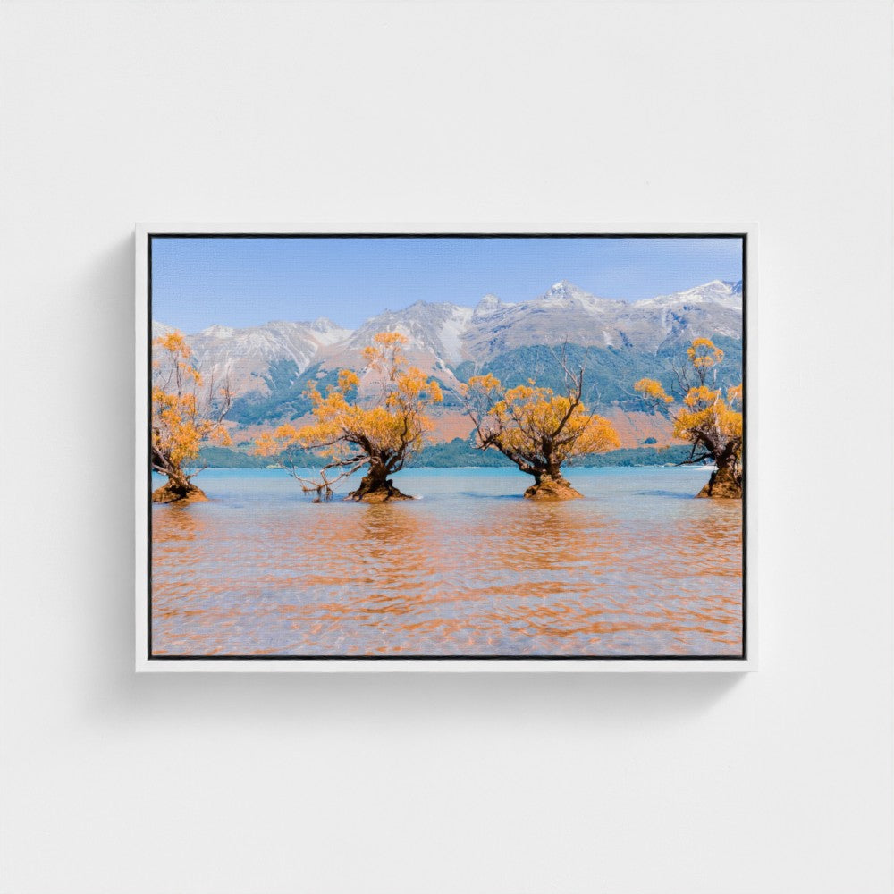 Floating Framed Canvas - Willow Trees in Blue Lake