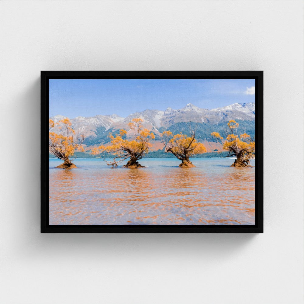 Floating Framed Canvas - Willow Trees in Blue Lake