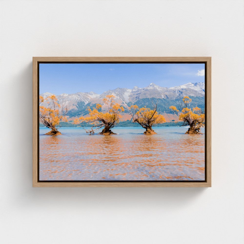 Floating Framed Canvas - Willow Trees in Blue Lake