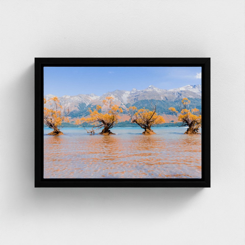 Floating Framed Canvas - Willow Trees in Blue Lake