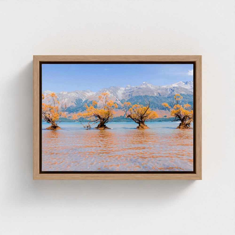Floating Framed Canvas - Willow Trees in Blue Lake