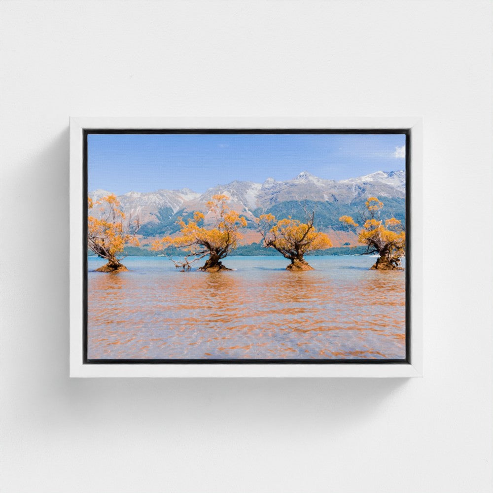 Floating Framed Canvas - Willow Trees in Blue Lake