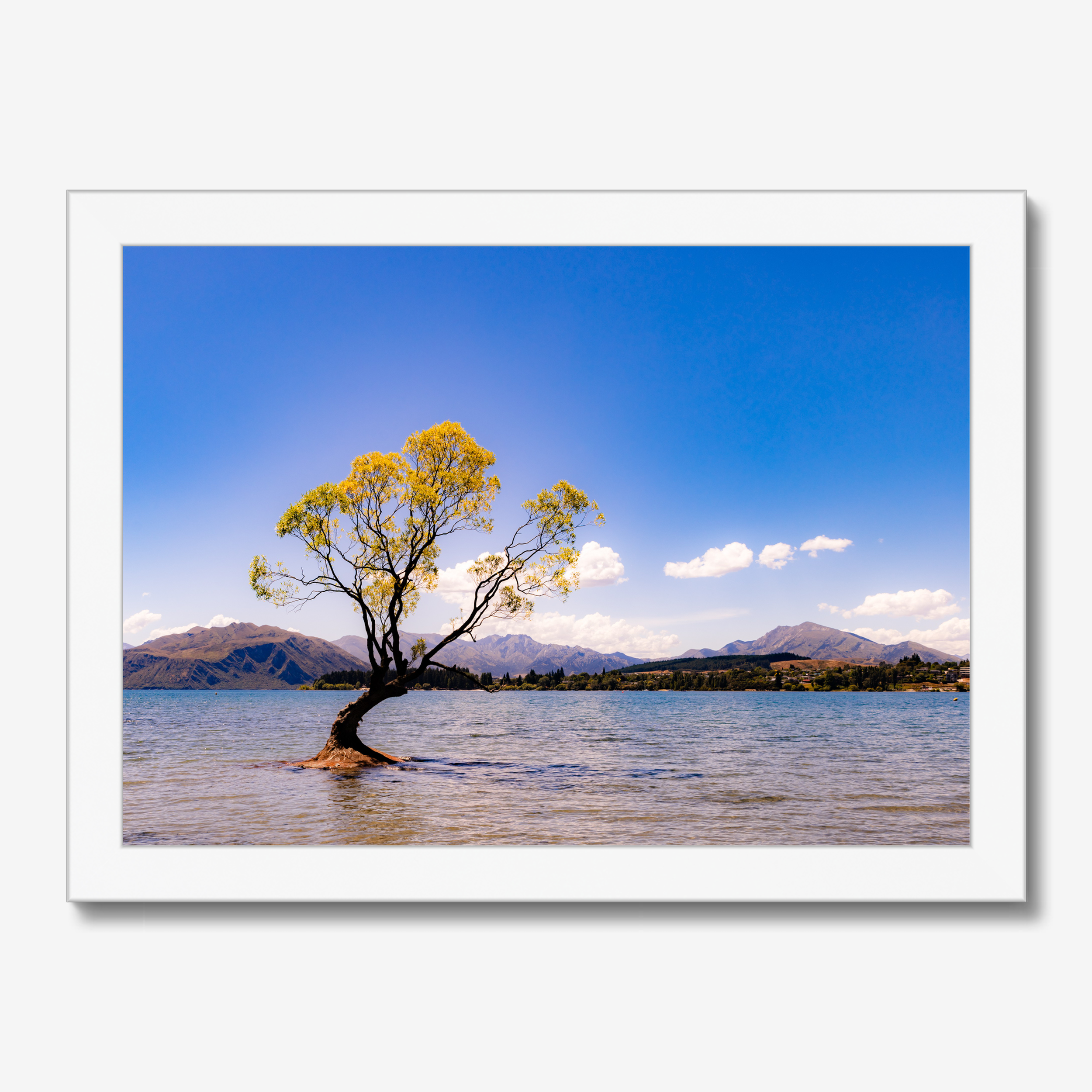 Floating Framed Canvas - The Lone Wanaka Tree (Wide)